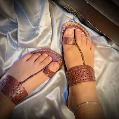 Meher-e-Nasq — Camel